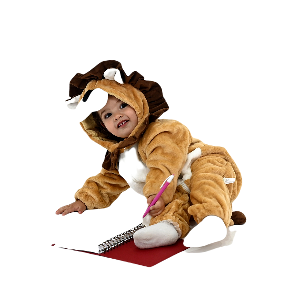 Costume for a masked lion