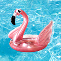 Tire for swimming flamingo