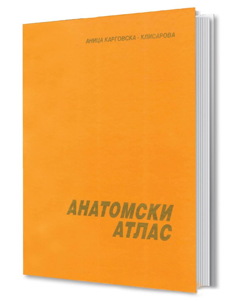 The Anatomic Atlas