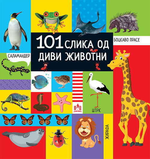 101 Picture of the Wild