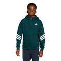 Adidas Dockers for boys J Fi 3S Fz Hd, JW7525, Green