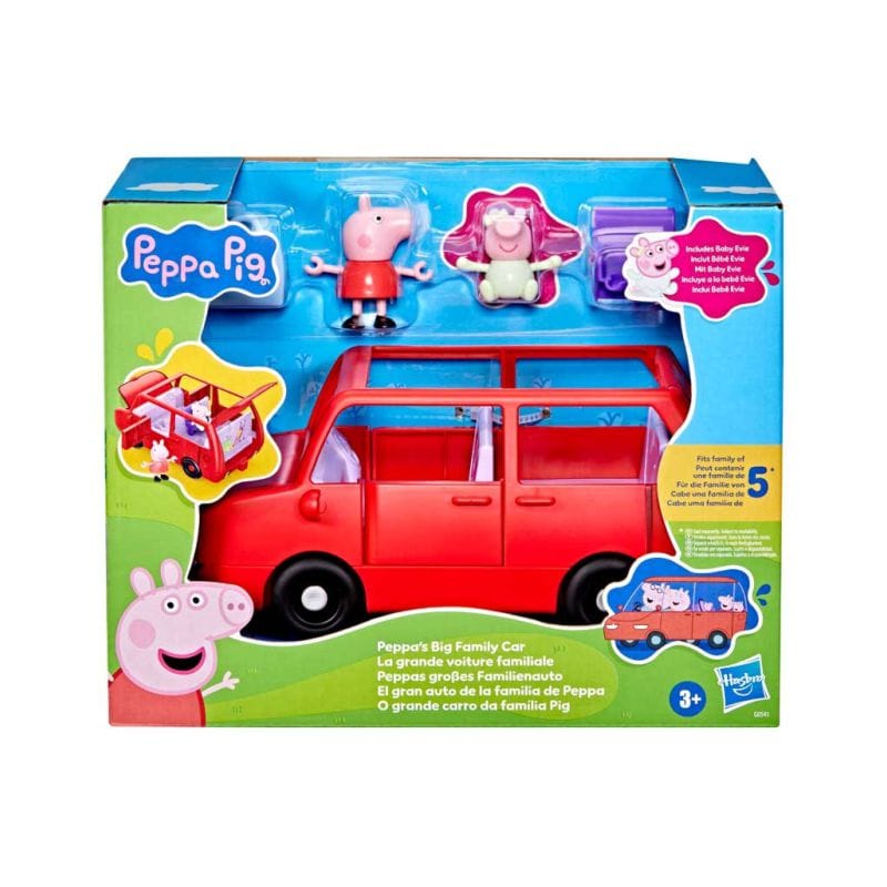 Big family car 0541