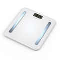 HAUSBERG Weight By Body Weight HB-6004 Ab
