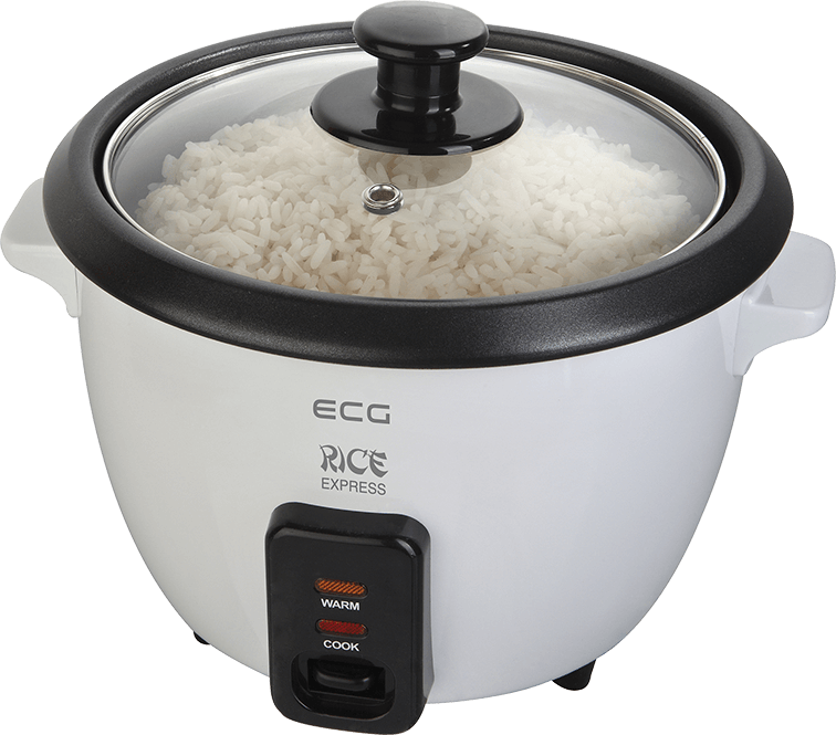 ECG Rice Cooking Machinery RZ060